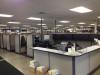 Carbone Auto Group-New Corporate Offices & Recon/Auction/Facility Office Work Stations